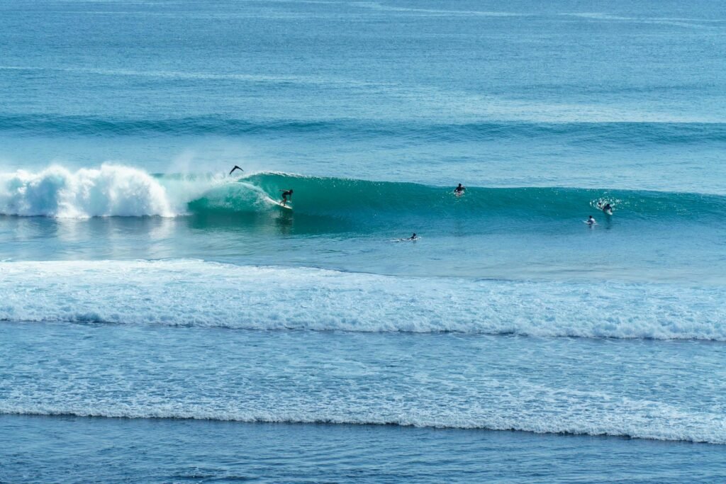 things to do in rote island